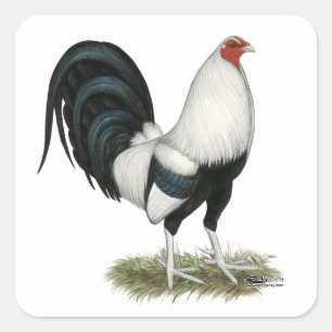 Silver Duckwing Gamecock Fyrkantigt Klistermärke