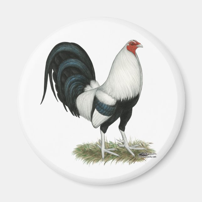 Silver Duckwing Gamecock Magnet (Framsidan)