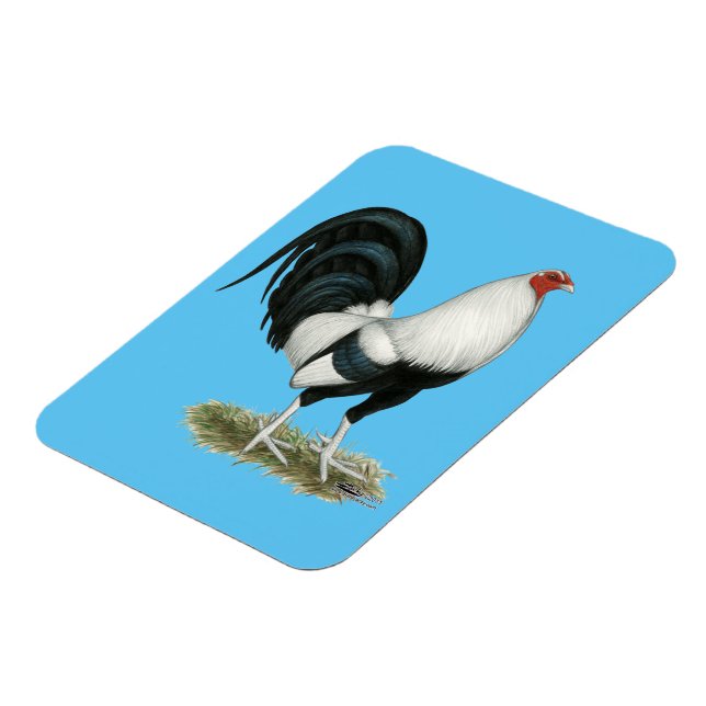 Silver Duckwing Gamecock Magnet (Vänstra Sidan)