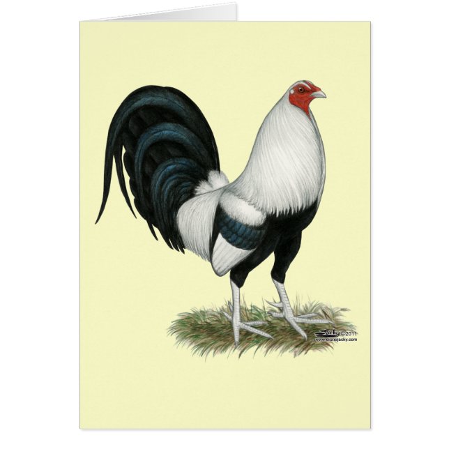 Silver Duckwing Gamecock OBS Kort (Framsidan)