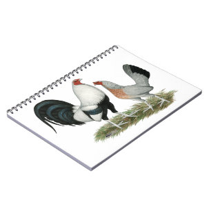 Silver Duckwing Gamefowl Anteckningsbok