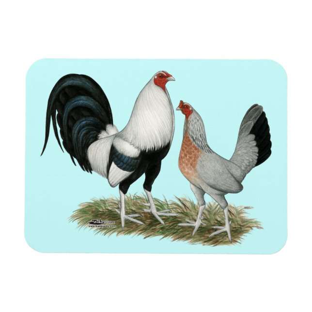Silver Duckwing Gamefowl Magnet (Horisontell)