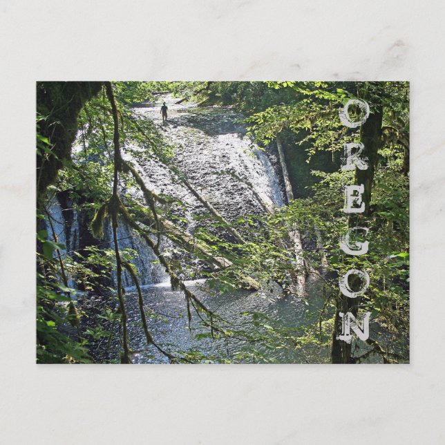 Silver Falls 4 Vykort (Framsida)