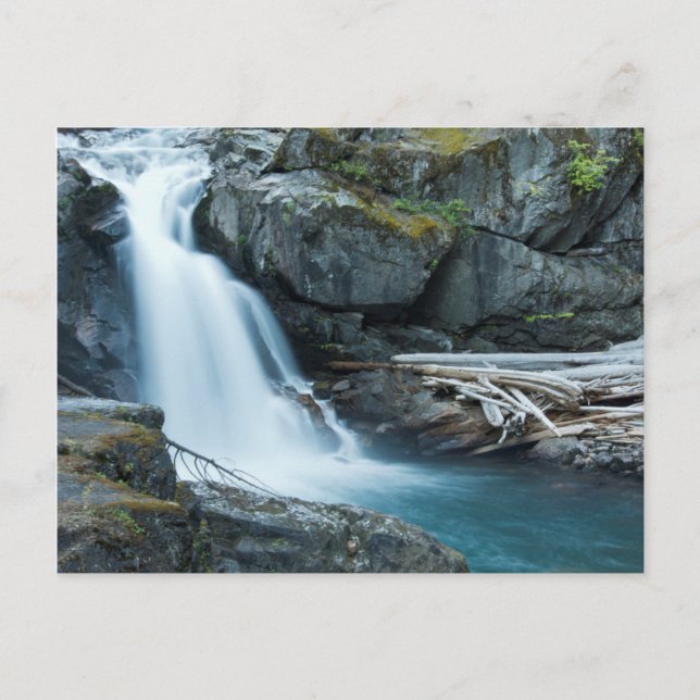 Silver Falls, berget Rainier nationalpark Vykort (Framsida)