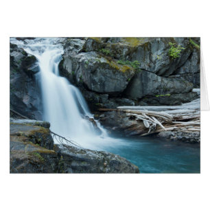 Silver Falls, Mount Rainier nationalpark Hälsningskort