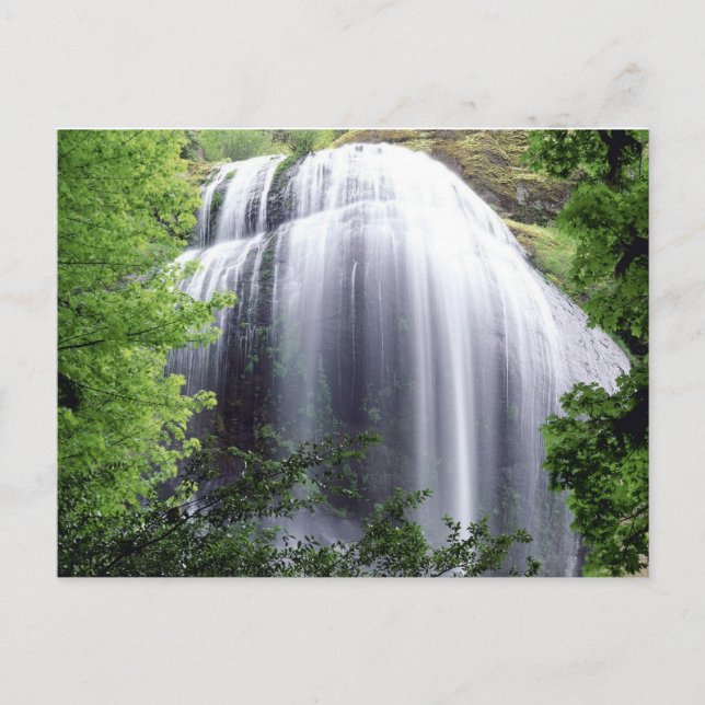 Silver Falls, Oregon Vykort (Framsida)