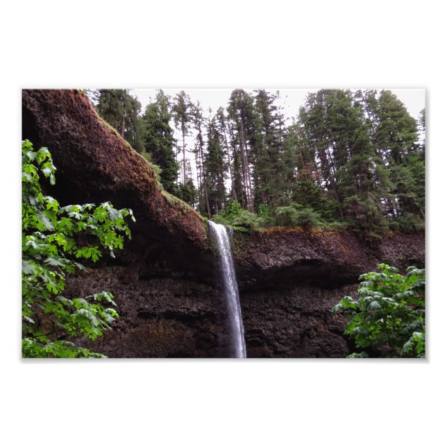 Silver Falls State Park Fototryck (Framsidan)