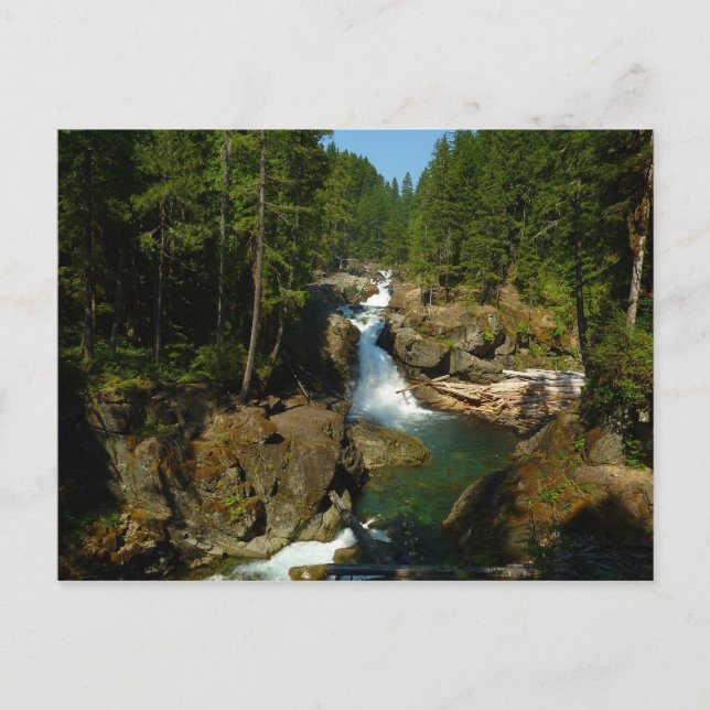 Silver Falls vid berget Rainier nationalpark Vykort (Framsida)
