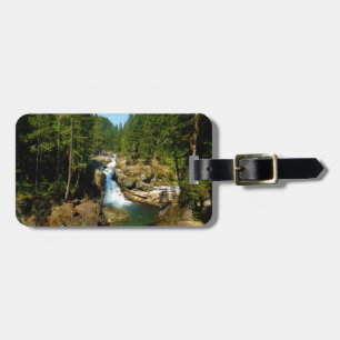 Silver Falls vid Mount Rainier National Park Bagagebricka