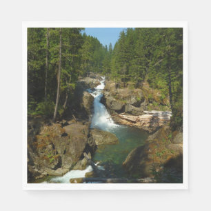 Silver Falls vid Mount Rainier National Park Pappersservett