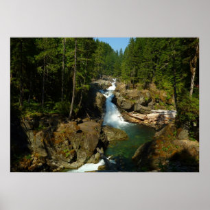 Silver Falls vid Mount Rainier National Park Poster