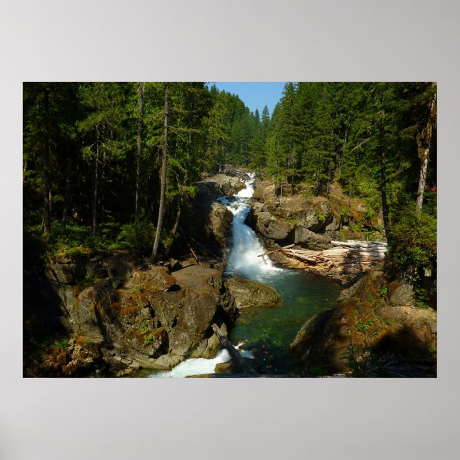 Silver Falls vid Mount Rainier National Park Poster (Framsidan)