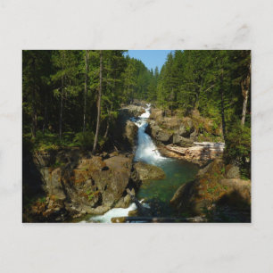 Silver Falls vid Mount Rainier National Park Vykort