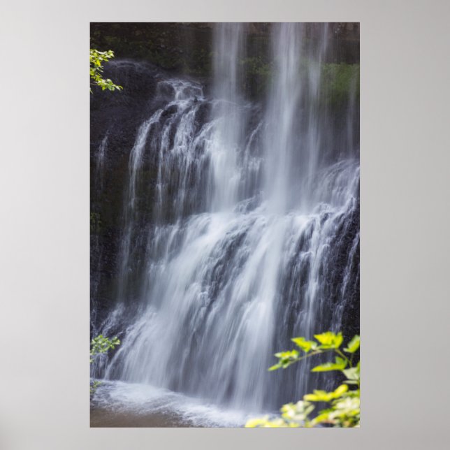 Silver Falls Willamette Valley Oregon Mitten Falls Poster (Framsidan)
