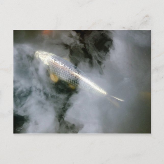 Silver Fisk i Vatten och moln Vykort (Framsida)