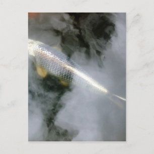Silver Fisk i Vatten och moln Vykort