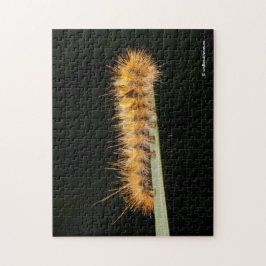 Silver-fläckad tigermage/Woollybjörn-vattenpelare Pussel