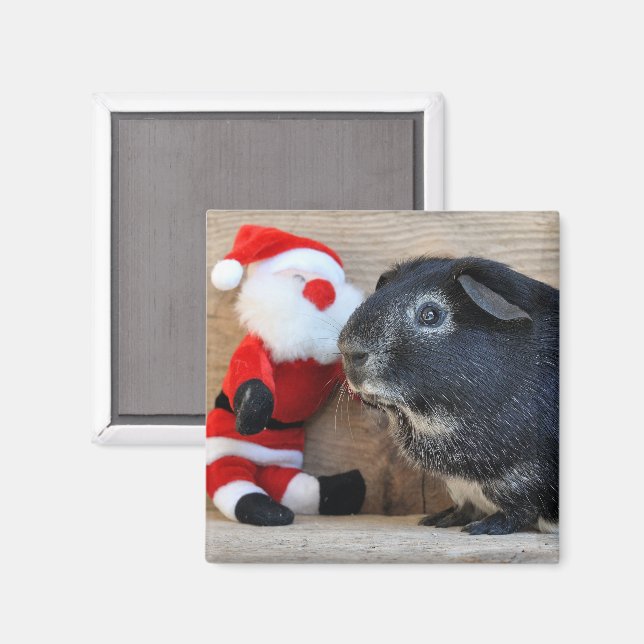 Silver Fox Guinea Gris och Jultomten Magnet (Front/Back)