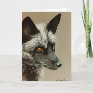 Silver Fox Kort