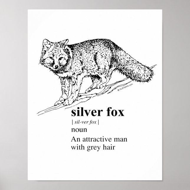 SILVER FOX - POSTER (Framsidan)