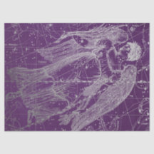 Silver Galaxy Star Karta-seriens konstruktion 11