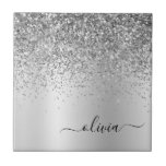 Silver Glitter Metall Monogram Glam Namn Kakelplatta<br><div class="desc">Silver Faux Foil Metallic Gnistra Glitter Brushed Metall Monogram Namn och inledande keramiska plattor. Det gör perfekten söt 16-årsjubileum,  bröllop,  möhippa,  årsdag,  babydusch eller bachelorette-fest för någon som glam lyxen och chic stilar i kärlek.</div>
