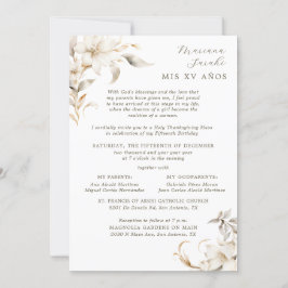 Silver & Guld Elegant Winter Quinceañera Inbjudningar