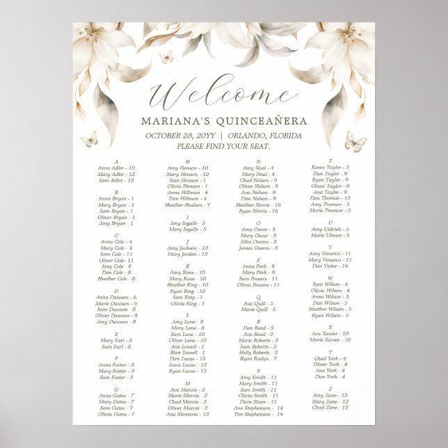 Silver & Guld Elegant Winter Quinceañera Poster (Framsidan)