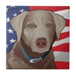 Silver Lab Retriever of America Kakelplatta