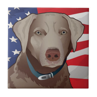 Silver Lab Retriever of America Kakelplatta