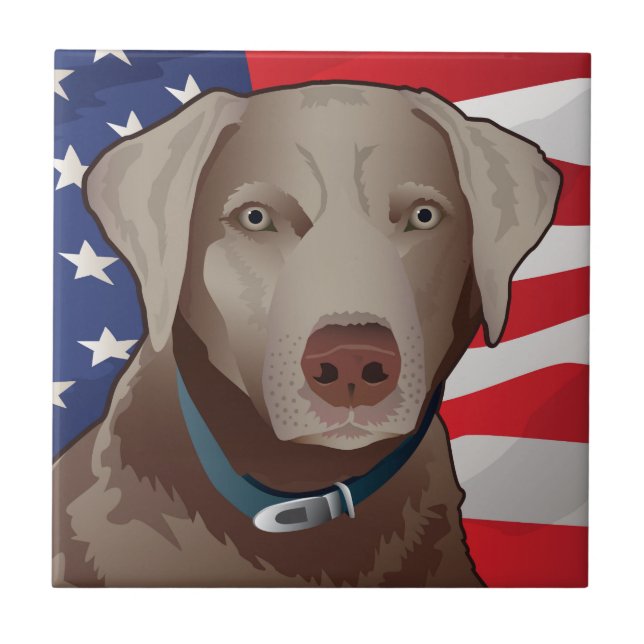 Silver Lab Retriever of America Kakelplatta (Framsidan)