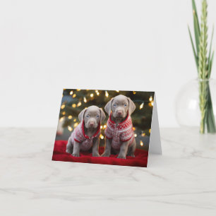 Silver Labrador Puppies-julkort Kort