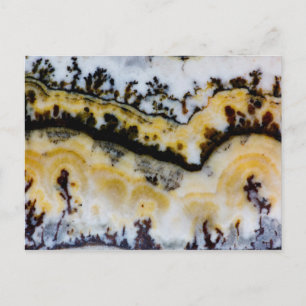 Silver Lace Onyx Vykort