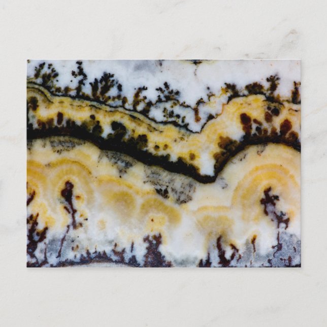 Silver Lace Onyx Vykort (Framsida)