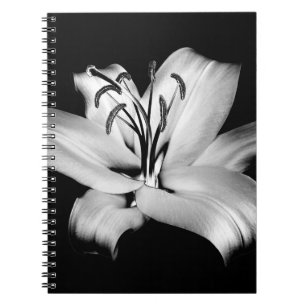 Silver Lily: Monochrome Blommigt Elegance. Anteckningsbok