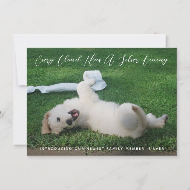 Silver Lining Photo Pet Adoption Meddelande (Framsida)