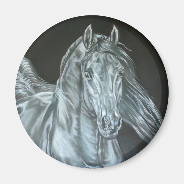 Silver Magnet (Framsidan)