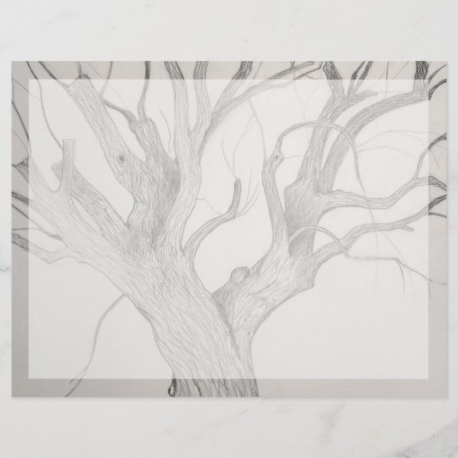 Silver Maple (Framsida)