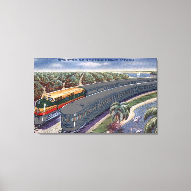 Silver Meteors ’Seaboard’ i Florida Highlands Canvastryck (Framsida)