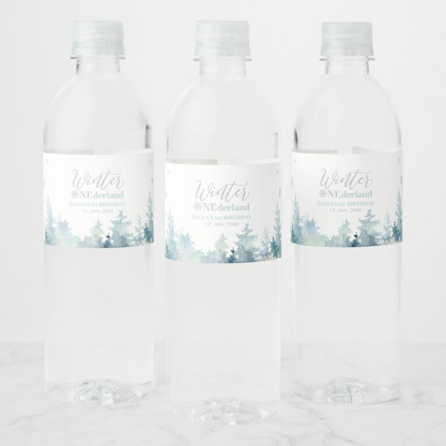 Silver & Mint Vinter Värld 1-års Födelsedagsfest Vattenflaskor Etikett (Flaskor)
