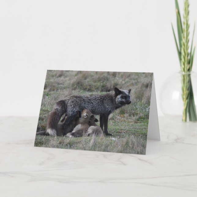 Silver Mor Fox Nursing Baby-satser för bildkonst Helgkort (Framsida)