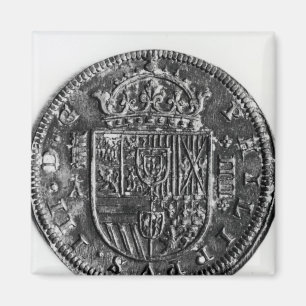 Silver myntar magnet