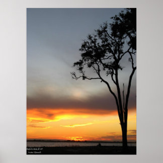 silver och guld poster