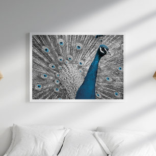 Silver och Turquise Peacock Poster