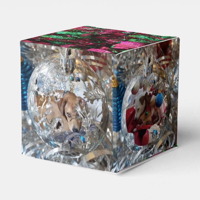 Silver Ornaments 4 Fotofavoritruta Presentaskar (Baksidan Sidan)