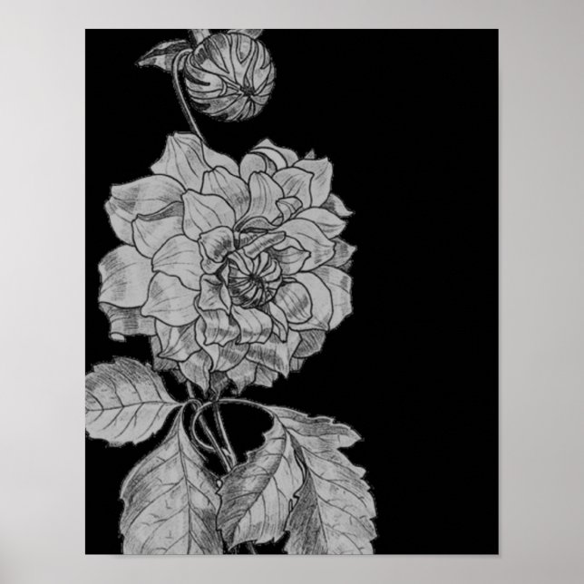 Silver Peony blomstrar på svart Blommigt Art Poster (Framsidan)