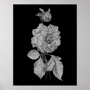 Silver Peony on Black Blommigt Art Poster
