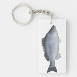 Silver Perch