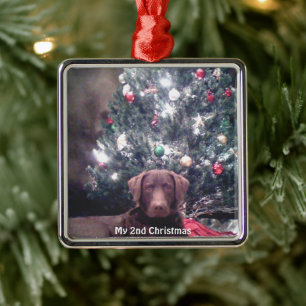 Silver Puppy Min andra julfoto Ornaments Julgransprydnad Metall