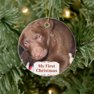Silver Puppy Mitt första julfoto-prydnadsföremål Julgransprydnad Keramik